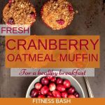cranberry oatmeal muffins