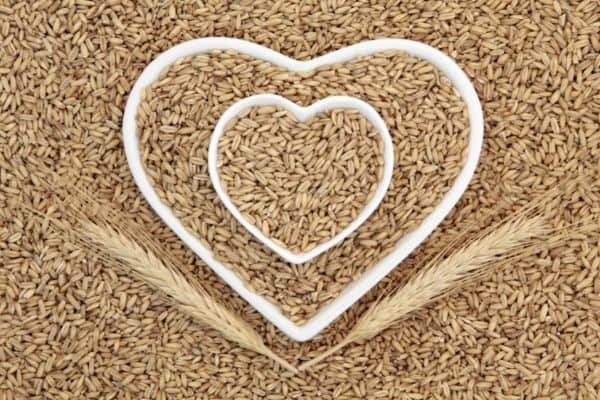 benefits of oat groats
