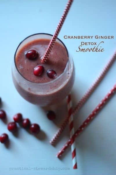 CRANBERRY-GINGER SMOOTHIE