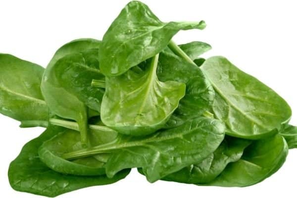 spinach as a weightloss food