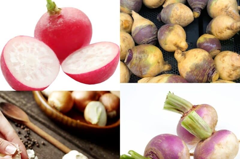 8 Low-Carb Root Vegetables to Include in Your Diet Now